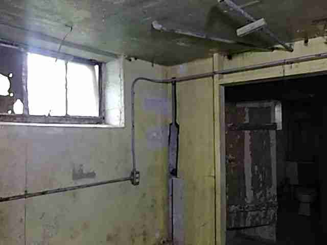 Testing again(12).jpg